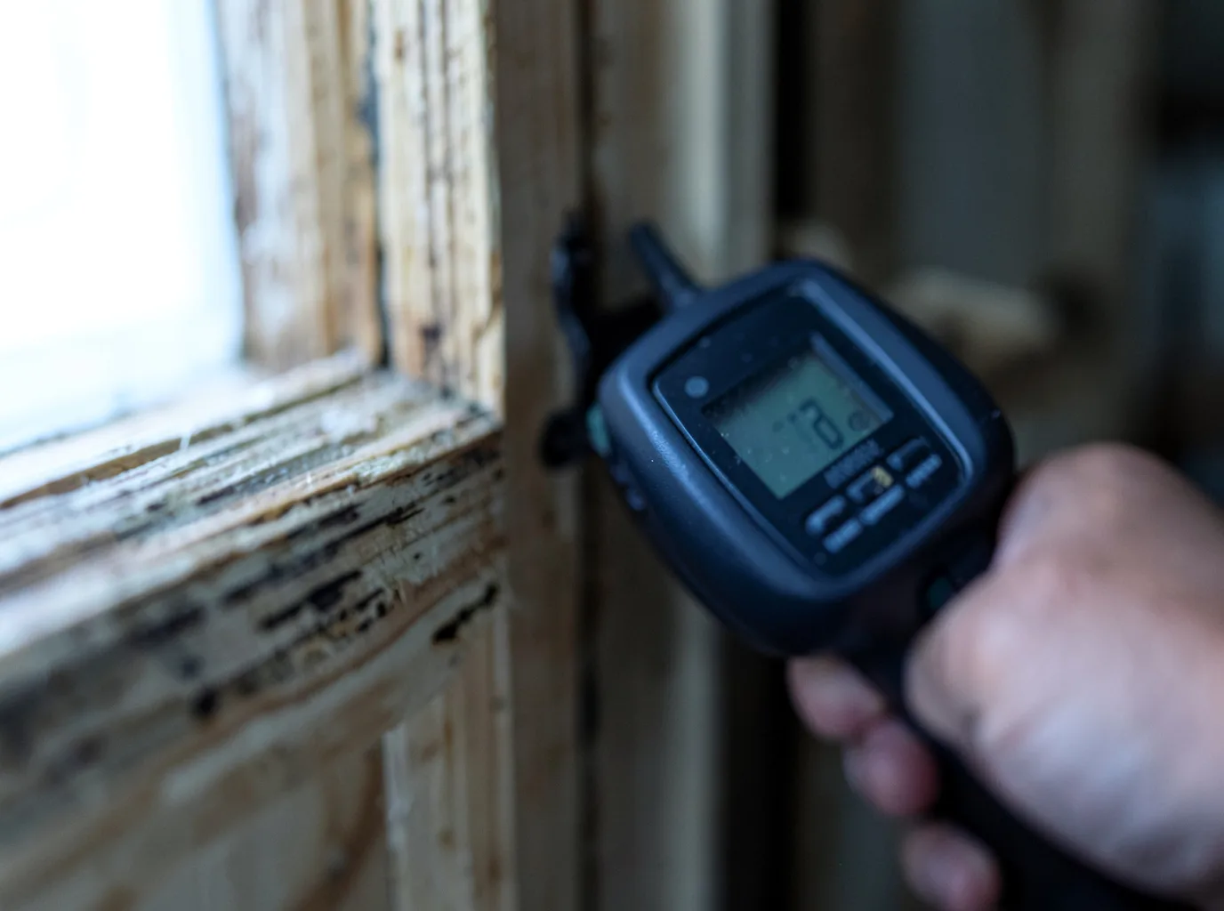 Moisture Inspection And Documentation in Warsaw, IL